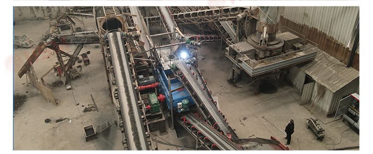 roller crusher case